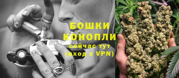 твердый Няндома